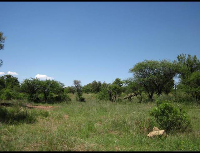 0 BEDROOM HOUSE FOR SALE IN DINOKENG GAME RESERVE